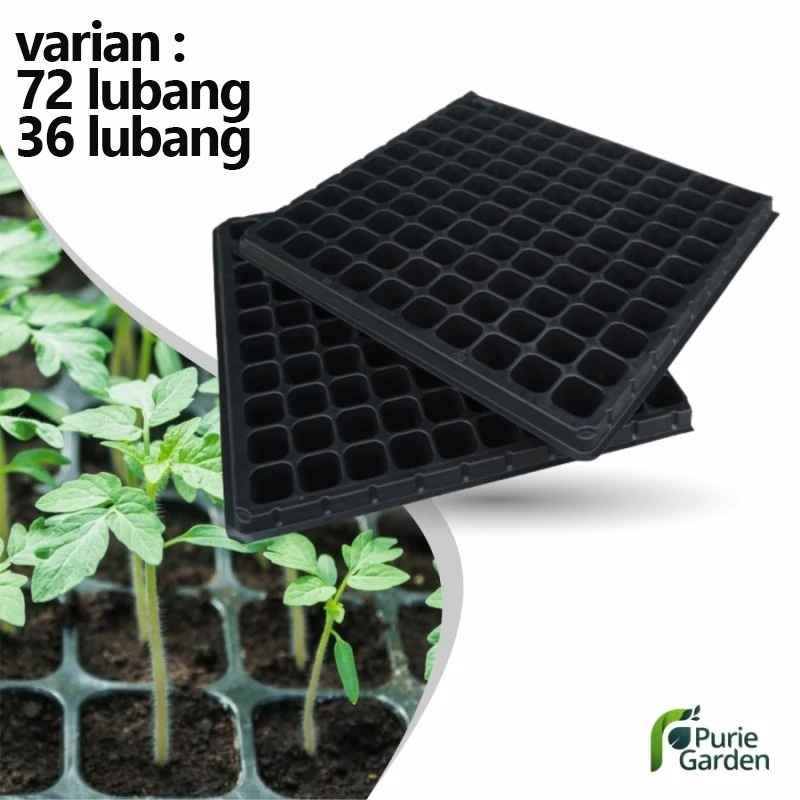 Tray Semai Pot Tray Penyemaian Bibit Tanaman 72 &amp; 36 Lubang PG SBY