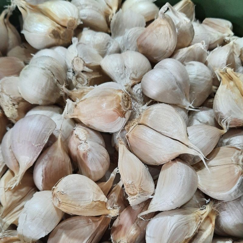 

Bawang Putih Kating 1kg