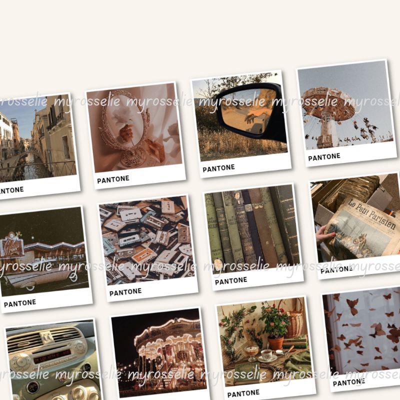 

PANTONE STIKER VINTAGE BROWN PANTONE AESTHETIC STICKER