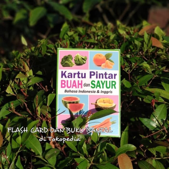 FLASH CARD Buah dan Sayur [SALE]off40%