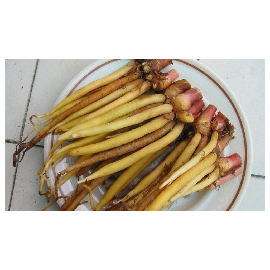 

PASAR ONLINE MURAH - TEMU KUNCI 100GR