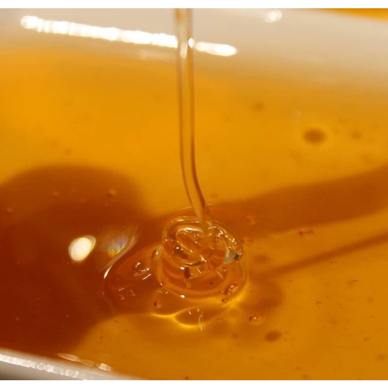 

Madu Yaman Sidr Malaki Royal 500 gr Honey Yemen Original Asli Natural Arab Hadramaut Bee Raw Pure