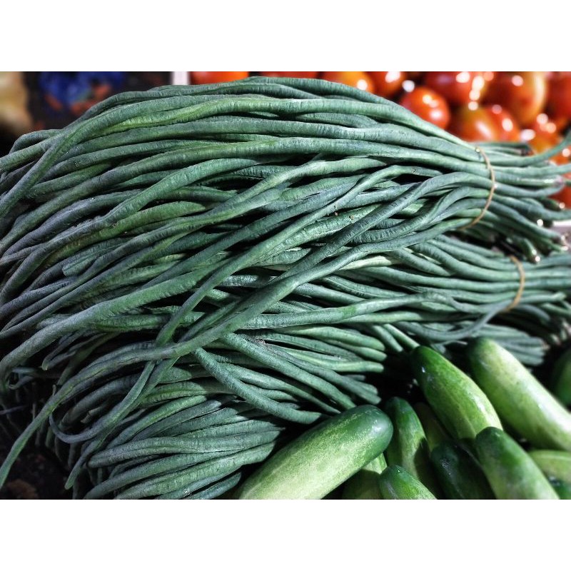 

KACANG PANJANG 500 gr
