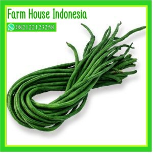 

Perfect Vegetables Kacang panjang 250 gram
