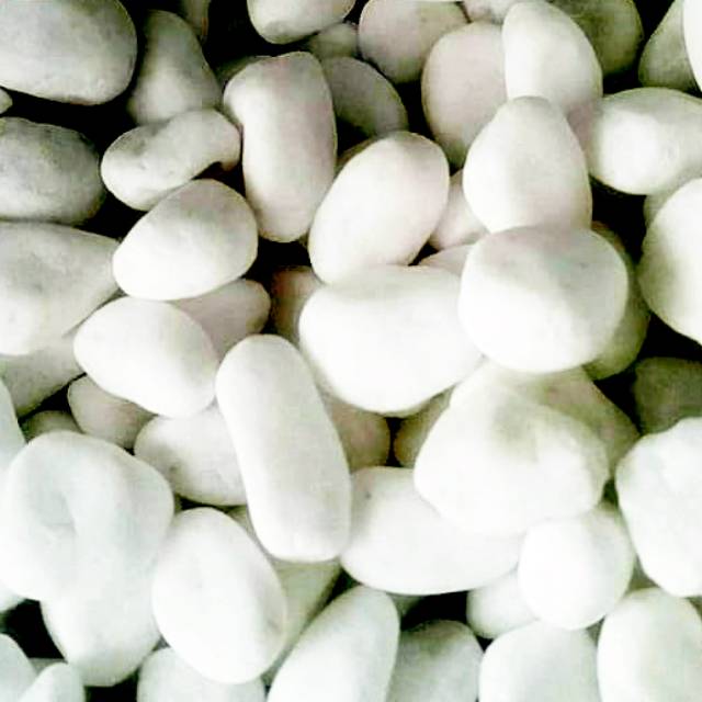 BATU SALJU batu hias batu putih aquarium Akuarium 500gr