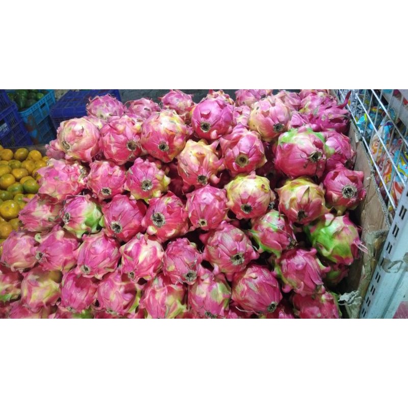 

BUAH NAGAMERAH