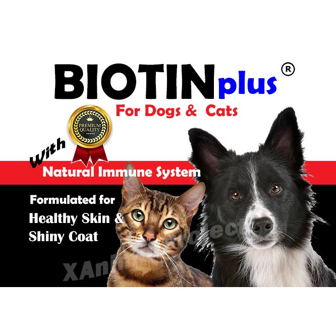 BIOTINplus VITAMIN BULU KUCING ANJING CAT DOG PENUMBUH BULU RONTOK OBAT PENYAKIT KULIT ANTI RONTOK