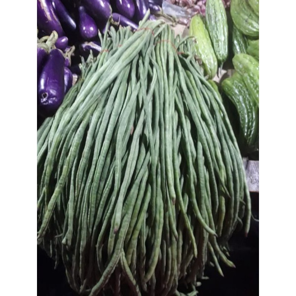 

kacang panjang segar