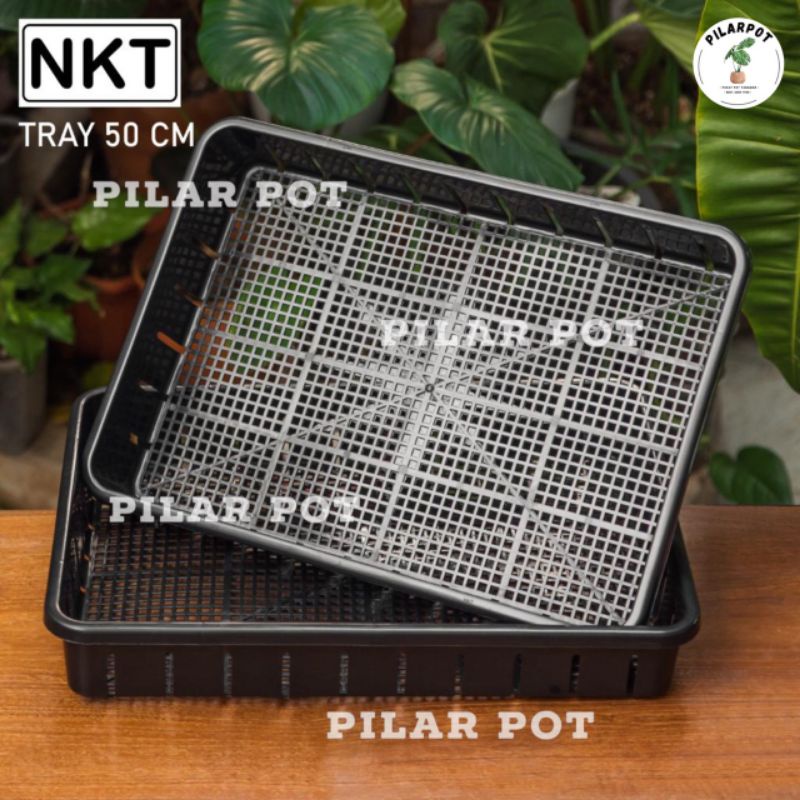 Tray pot untuk semai bibit hidroponik 50cm - TRAY POT NKT 50CM