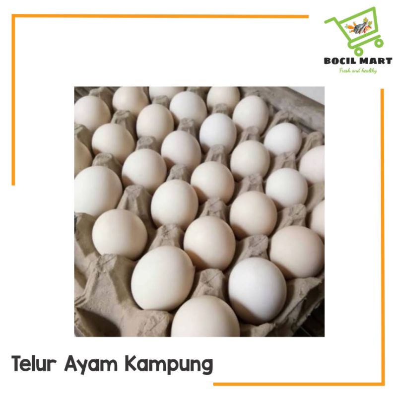 

[BOCIL MART] TELUR AYAM KAMPUNG 1 PCS