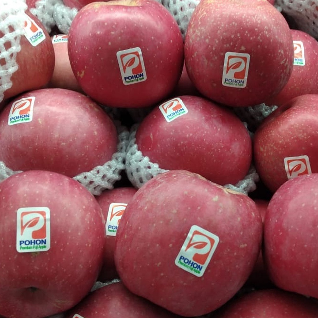 

APEL FUJI POHON BLUSH 15KG (PACK) +/- 1 KG (1965)