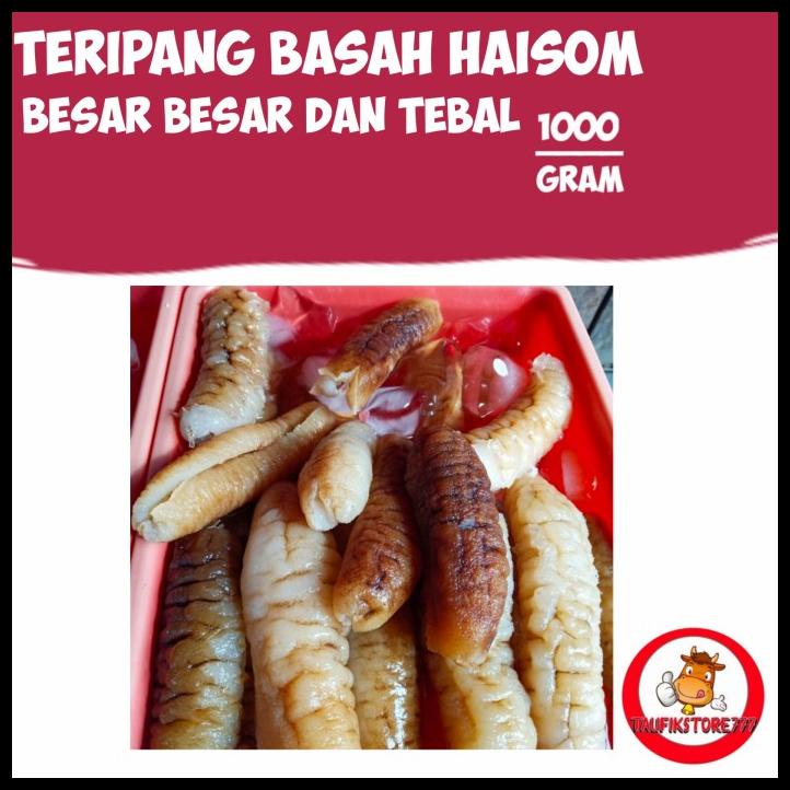 Teripang Basah Haisom 500Gr Besar Besar