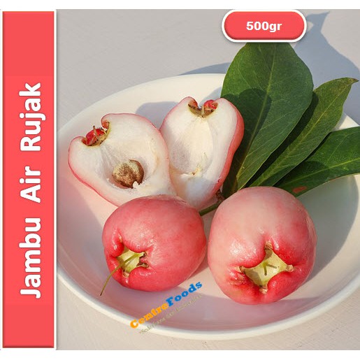 

Jambu Air Merah - Rujak | 500gr [ Harga Per 0,5 Kg ]