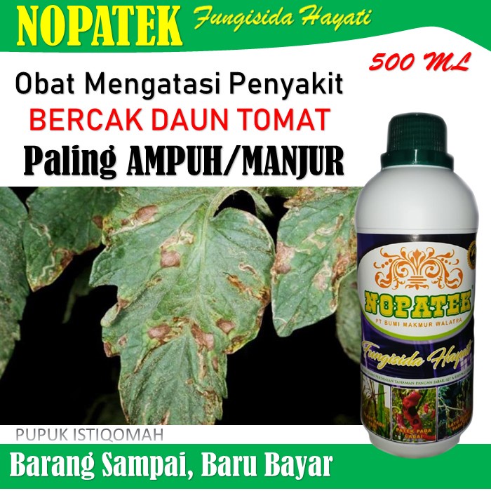 Obat Hama Penyakit Bercak Daun Tomat - Obat Hama Tomat NOPATEK 500 ML - Nopatek Fungisida Hayati Oba