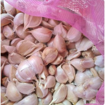 Bawang Putih Kating Premium / Premium Garlic per 1 KG