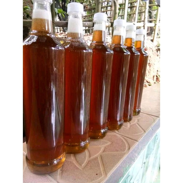 

madu hutan liar asli