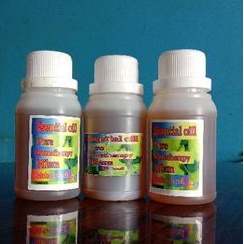 clove leaf oil/minyak daun  cengkeh 100 mll