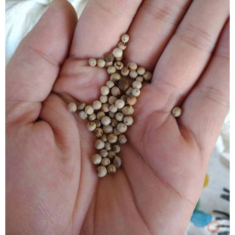 

Lada putih||Merica putih berat 250gr