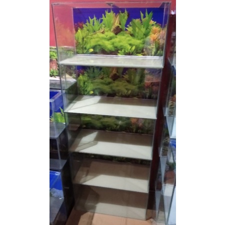 Aquarium 50x25x30 background