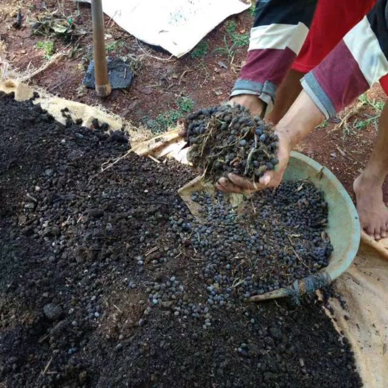 pupuk kotoran kambing/tai kambing 1kg