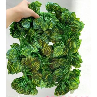Daun Rambat Plastik Imitasi Sirih Gading Ivy Semangka Daun Rambat Plastik Imitasi Sirih Gading Ivy Semangka