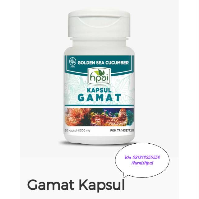 Gamat Hpai
