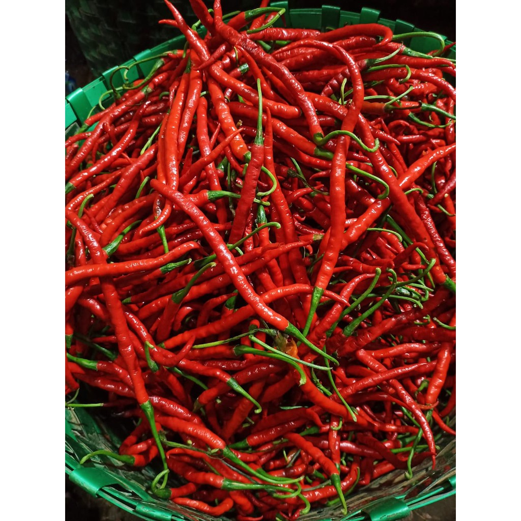 

Cabe Merah / Cabe Merah Keriting / 250gr