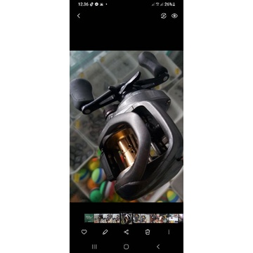reel shimano citica