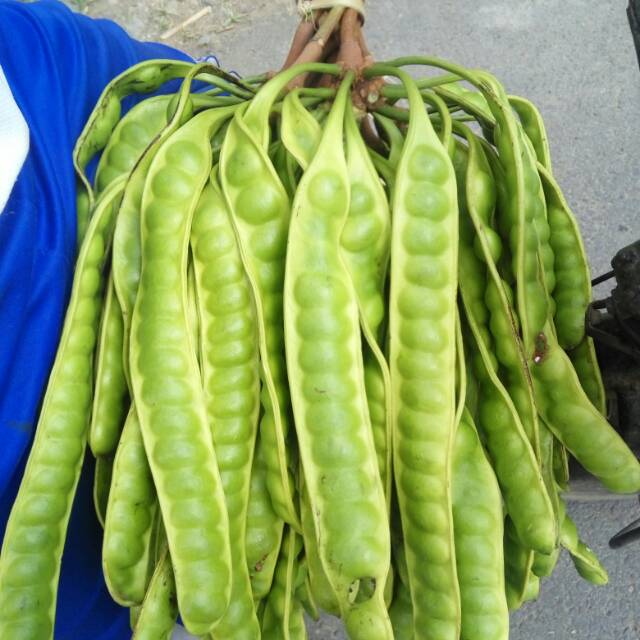 

Pete Kampung Segar Best Seller
