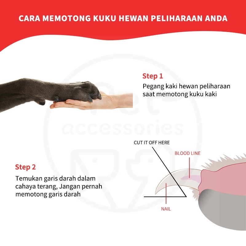 GUNTING KUKU HEWAN KUCING ANJING DLL  PEMOTONG KUKU PELIHARAAN