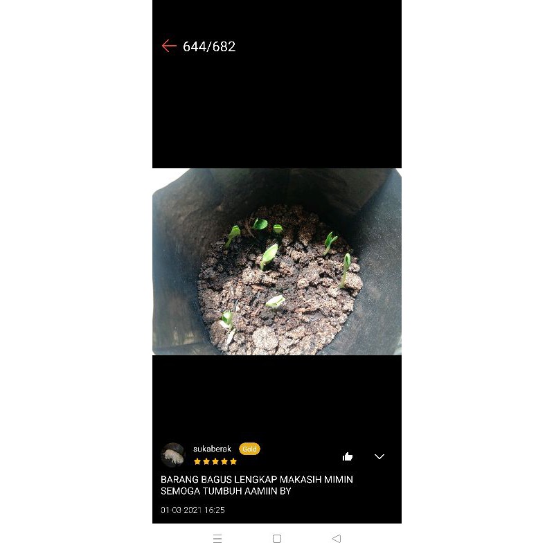 Paket Hemat 13 Macam Benih Sayuran Isi Terbanyak - Benih Bibit Sayuran Sawi Benih Bayam