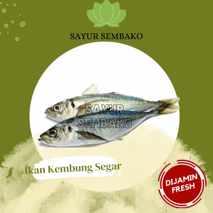

Ikan Kembung Segar (500gr)