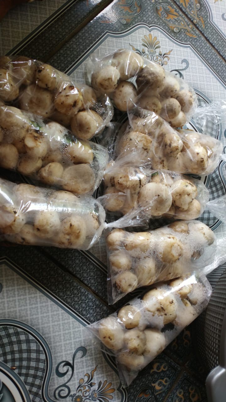 Cermin Lipat Dengan Ring Hp Cermin Standing Mirror Hp