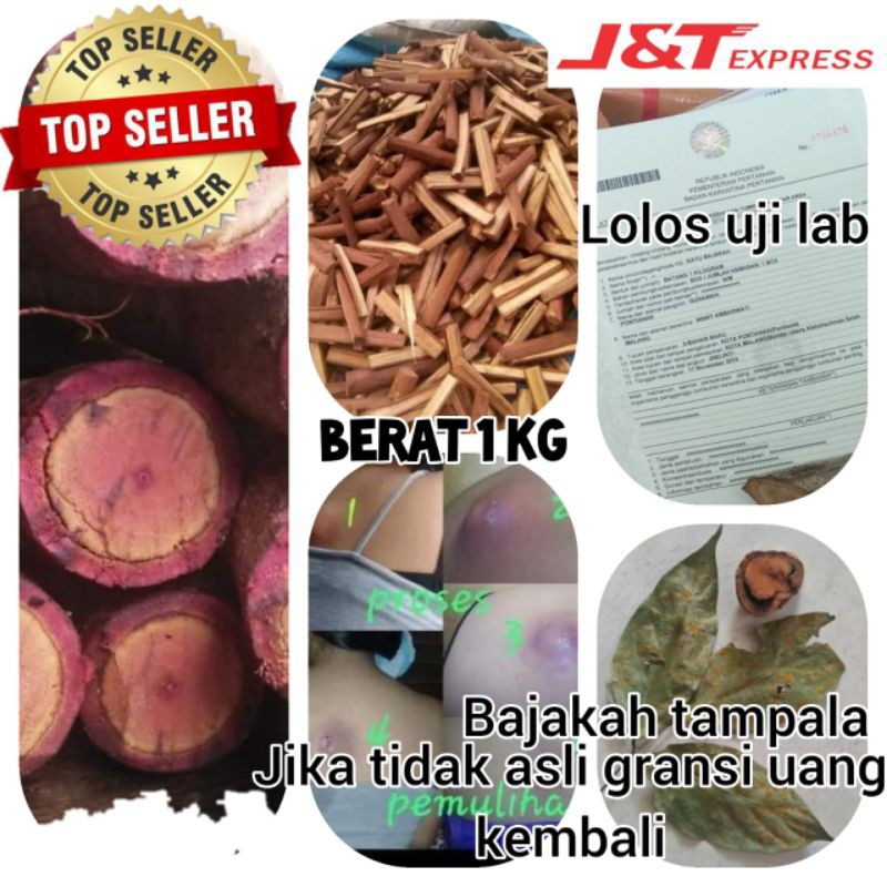 

⭐ 1 kg Kayu Bajakah tampala merah super
