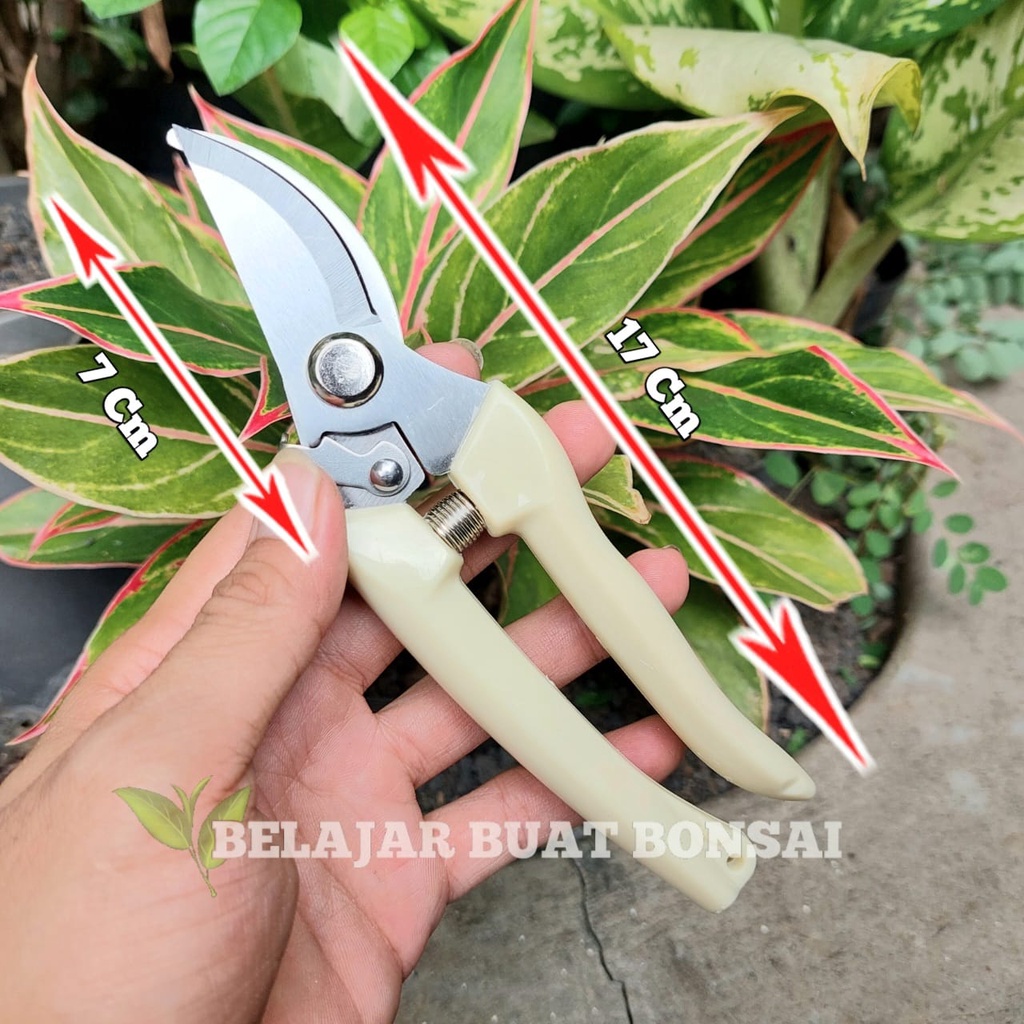 Gunting Dahan Dan Ranting King Art 17 Cm