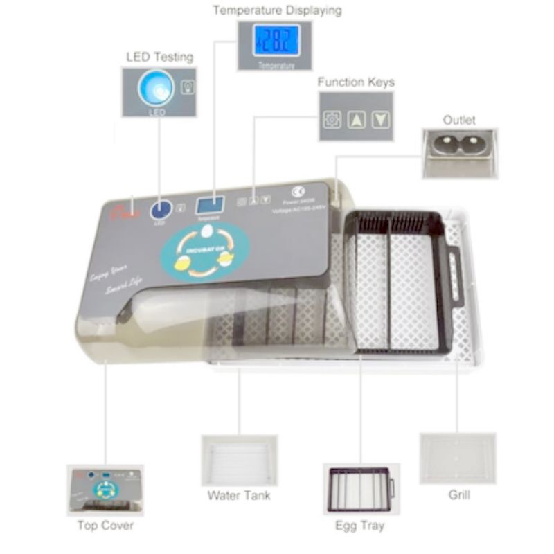 MESIN TETAS INKUBATOR BURUNG KAPASITAS 12 BUTIR DAYA TETAS TINGGI