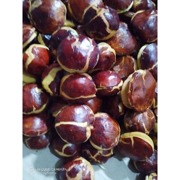

jengkol spi tua kemasan 1/2 kg ukuran campur