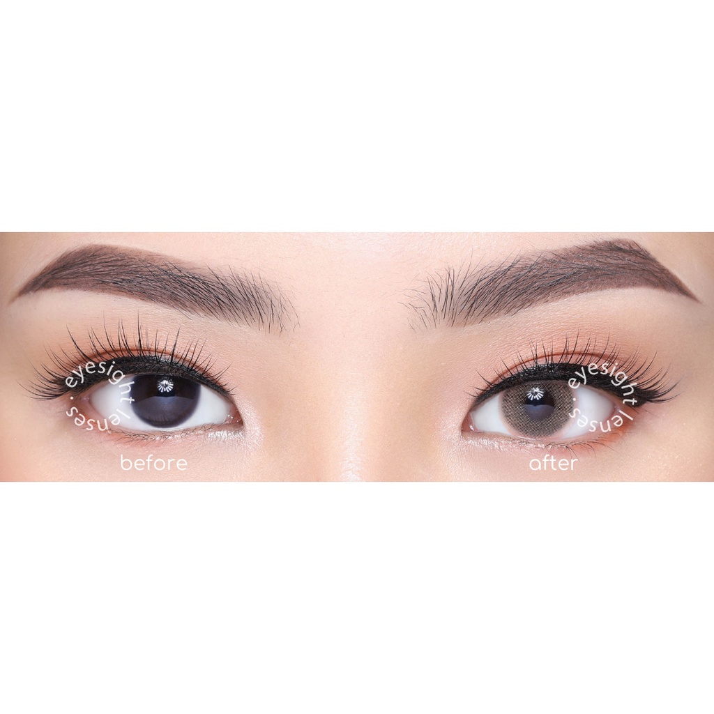 EYESIGHT - Softlens Sweety / SweetyPlus Hydrocor Brown