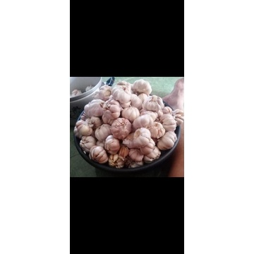 

Bawang Putih