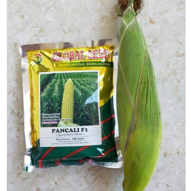 Benih Jagung PANCALI F1 GLOBAL SEED 250 gr TERMURAH