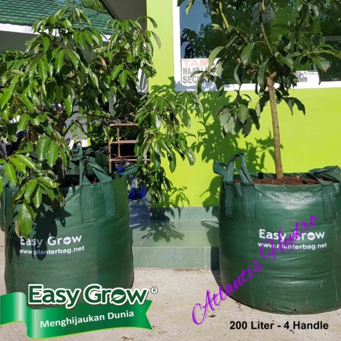 Planter Bag Easy Grow 200 Liter Kantong Pot Tanaman MURAH 