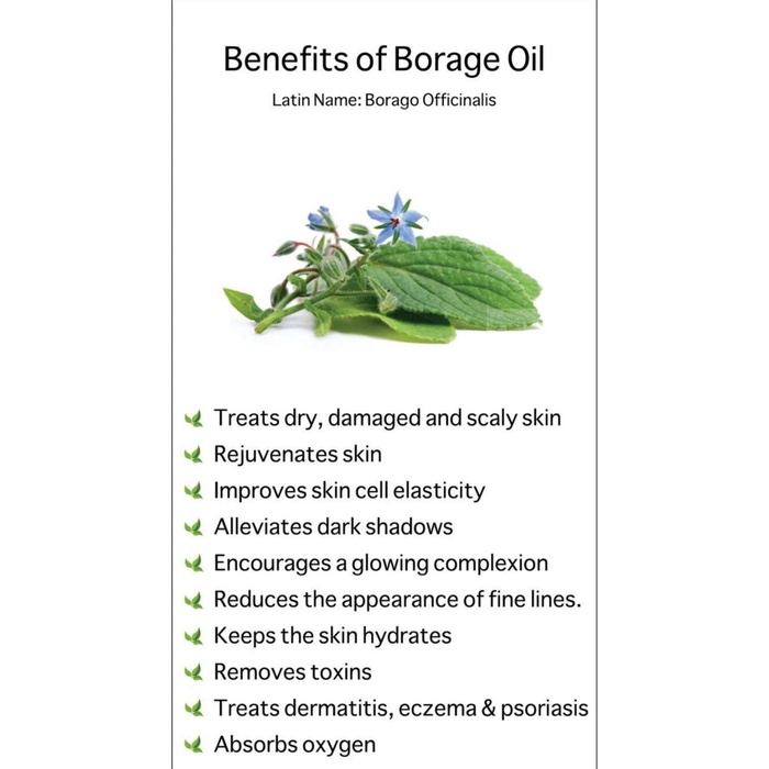 

Borage Seed Oil 10Ml/Pure Natural Oil