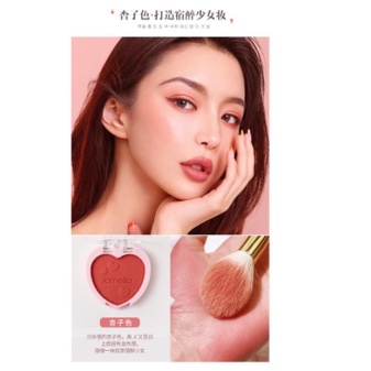 LAMEILA Blush On 4 Colours Love Palette Blusher CJR 5107