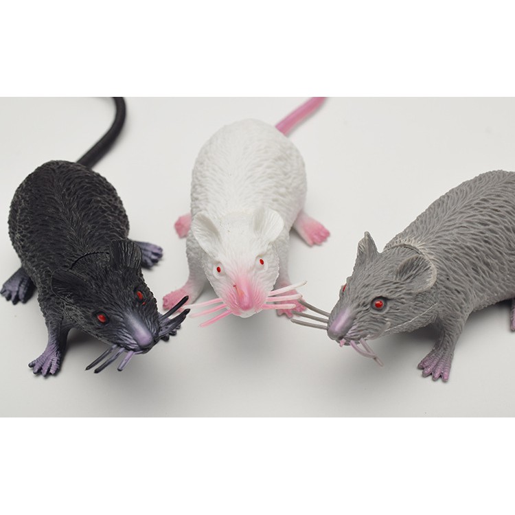 TIK mainan gag prank toy squishy karet tikus got laboratorium lab mouse