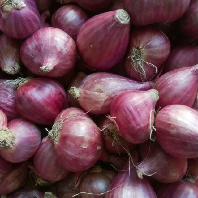 

Bawang merah 1 kg