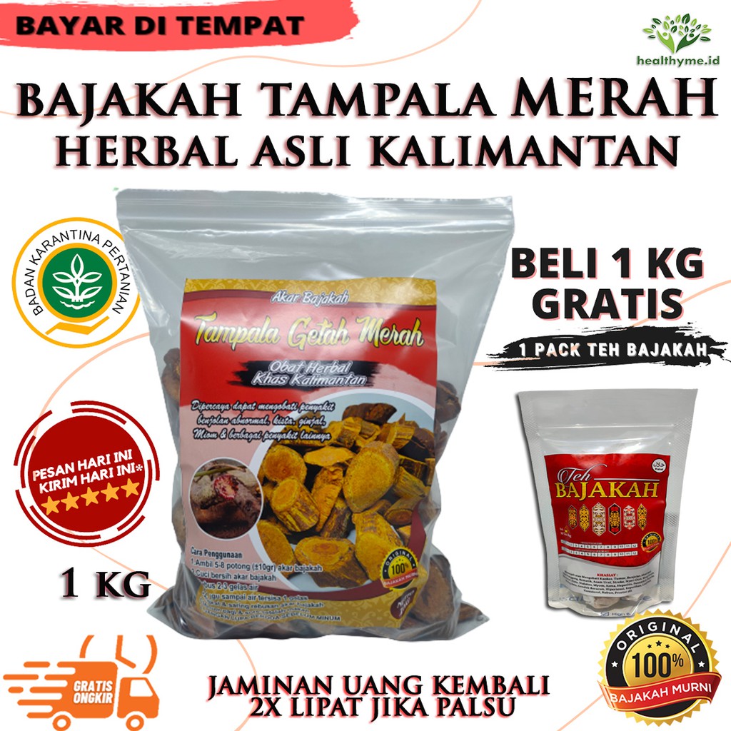 

Kayu Akar Bajakah Tampala Getah Merah Asli Kalimantan - 1 KG