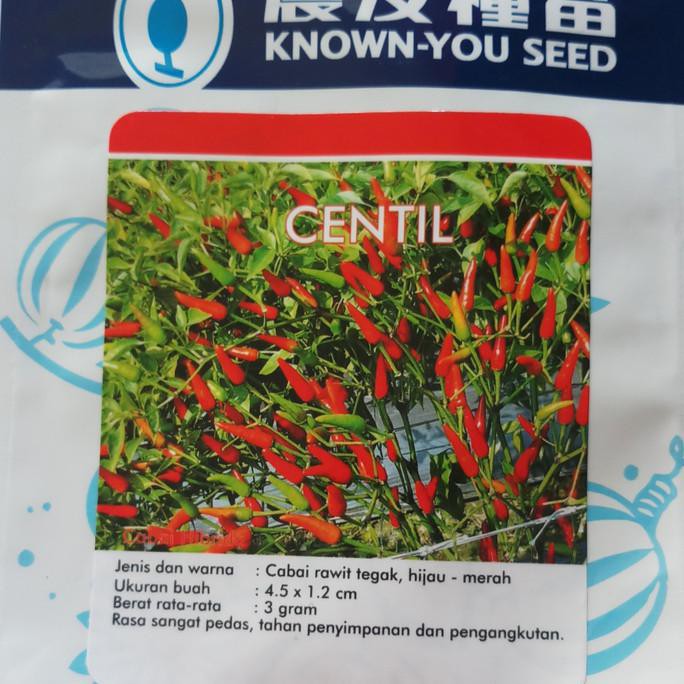 

Alat Hidroponik : Benih Biji Cabe Rawit Centil . Kys Termurah