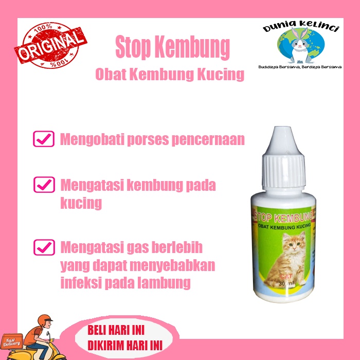 Obat kembung kucing STOP Kembung 30 ml