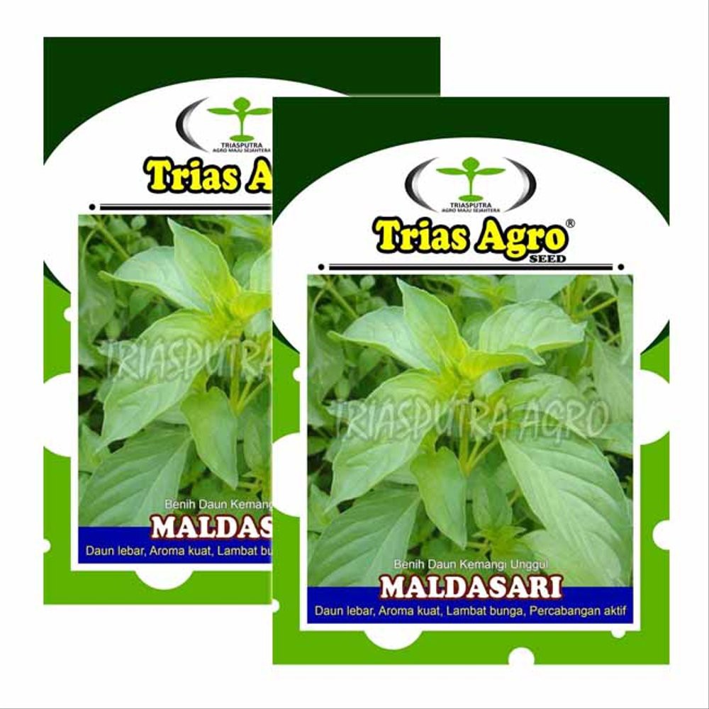 Jual Benih Bibit Lalapan Kemangi MALDASARI Diskon