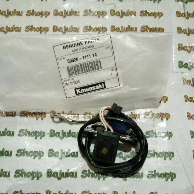 Pulser Ninja R / Ninja RR Original Kawasaki